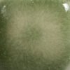 CLEARLY JADE FN-231 - Imagen 2