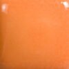 PUMPKIN FN-40 - Imagen 2