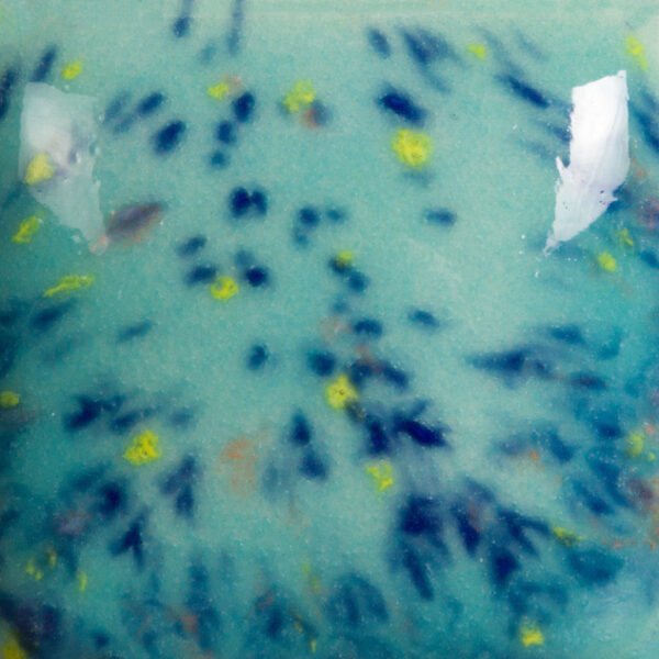SPECKLED JADED SP-209 - Imagen 2