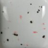 SPECKLED SILVER LINING SP-260 - Imagen 2