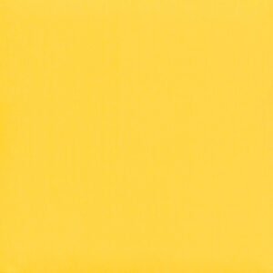BRIGHTEST YELLOW SS-111