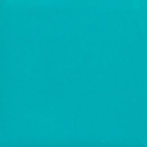 TURQUOISE SS-317