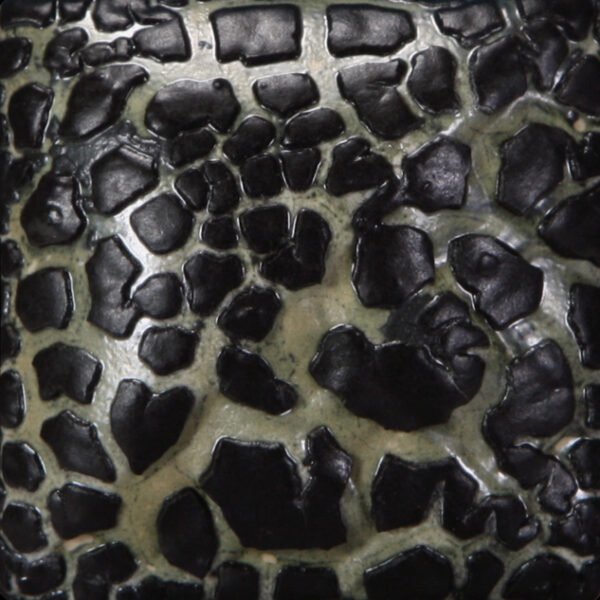 BLACK MUDCRACK SW-404