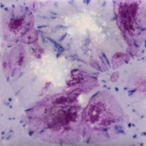 Purple Reign CG-1006